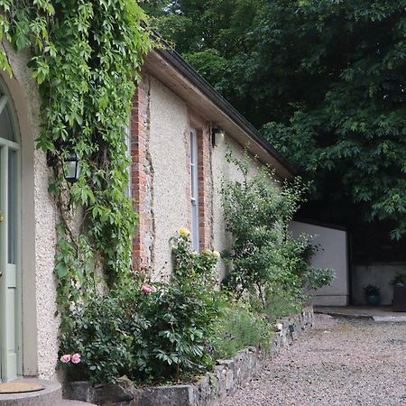 Millvale Cottage Cootehill Екстериор снимка