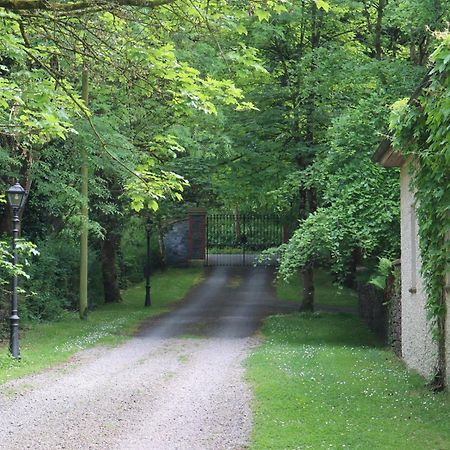 Millvale Cottage Cootehill Екстериор снимка