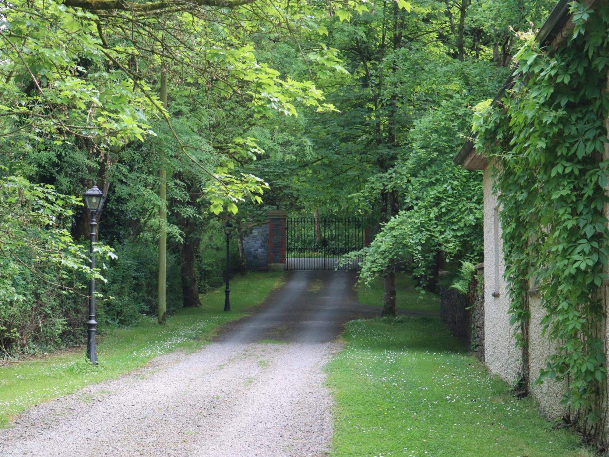 Millvale Cottage Cootehill Екстериор снимка